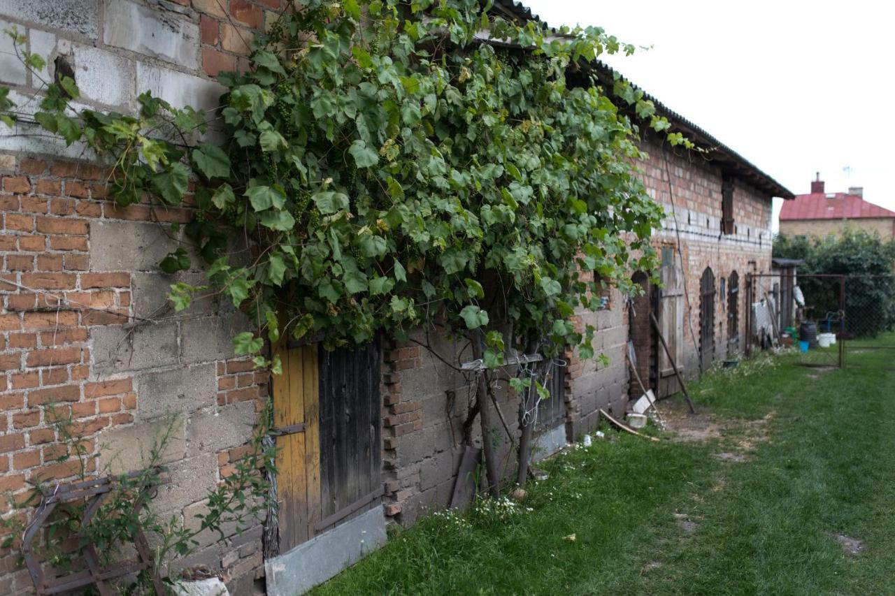 Agroturystyka Karpinscy Wizna Dış mekan fotoğraf